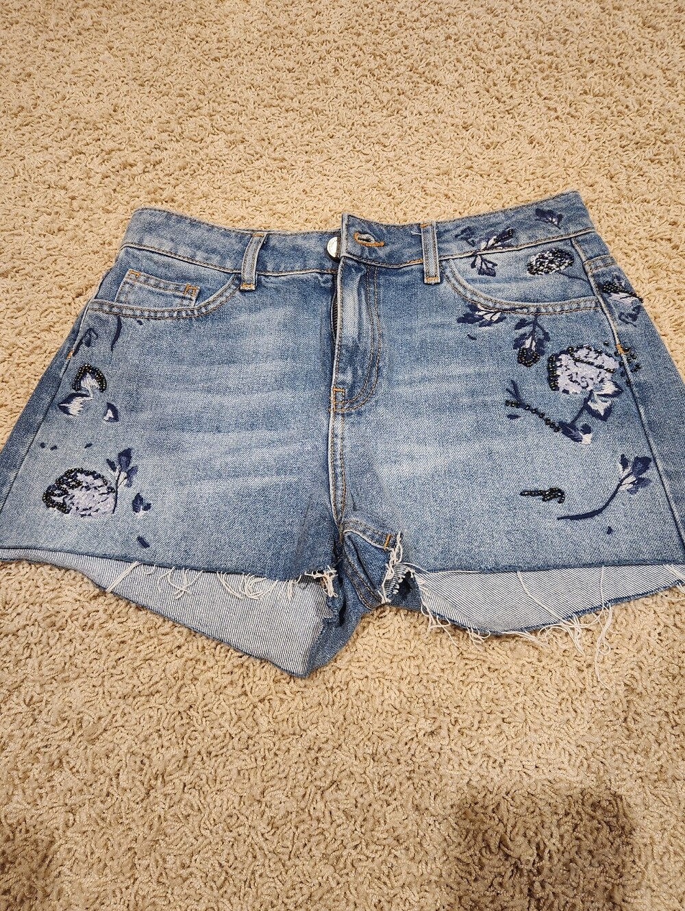 Zara Light Blue Embroidered Denim Shorts, Size 26